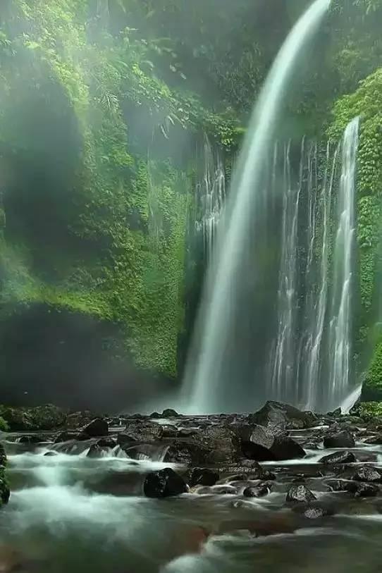 可爱宝宝大作战