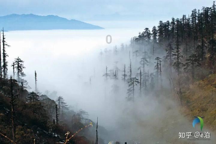 大连人队昔日队友各奔东西，吕鹏、王金帅可能披上智行战袍
